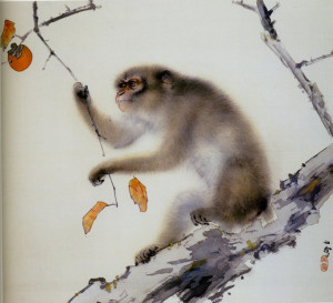 singe sur arbre