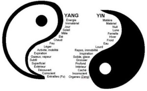 yin yang