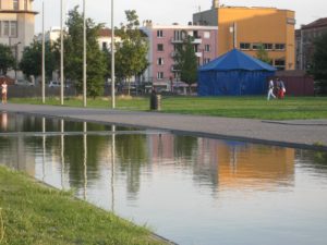 corm vue ens manège